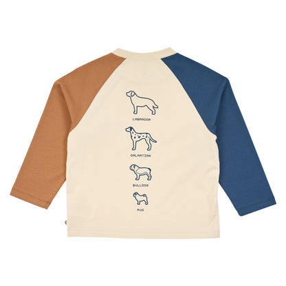Dogs color block l/s T